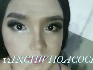12INCHWHOACOCK Erotik Pr