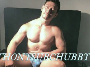 ANTHONYSUBCHUBBY