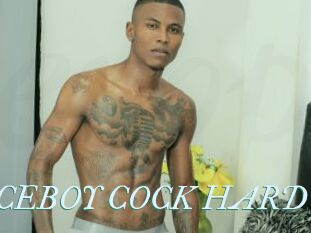 ARON_NICEBOY_COCK_HARD