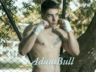 AdamBull