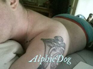 Alphie_Dog