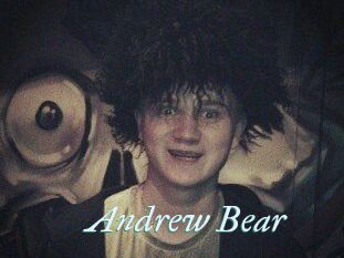 Andrew_Bear