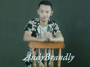 AndyBrandly