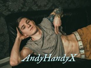 AndyHandyX