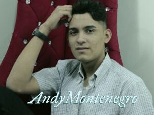 AndyMontenegro