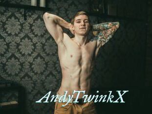 AndyTwinkX