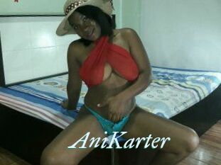 AniKarter