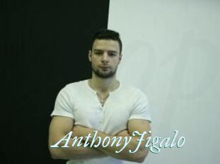 AnthonyJigalo