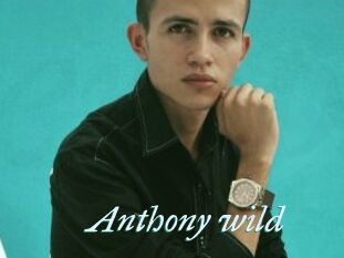 Anthony_wild