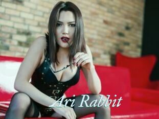 Ari_Rabbit