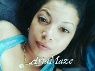 Aria_Maze