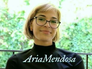 AriaMendosa