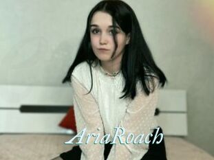 AriaRoach