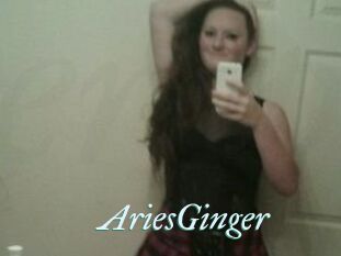 AriesGinger