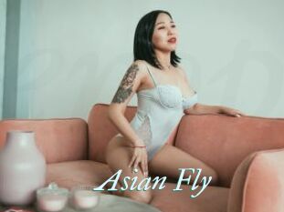 Asian_Fly