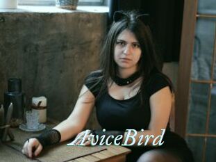 AviceBird