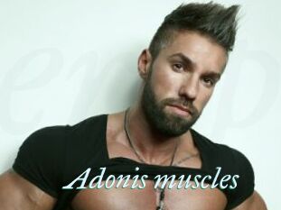 Adonis_muscles