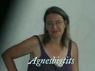 Agnesbigtits