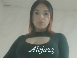 Aleja23