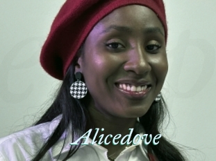 Alicedove