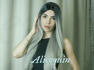 Alicequin