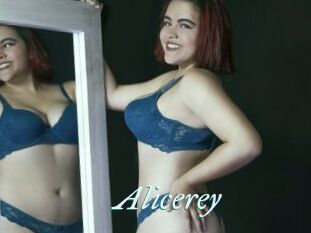 Alicerey