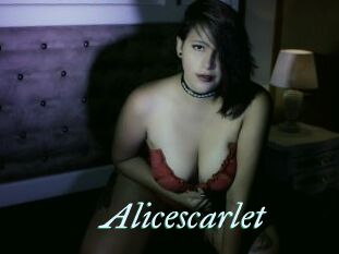 Alicescarlet