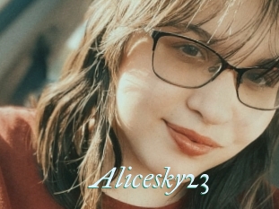 Alicesky23