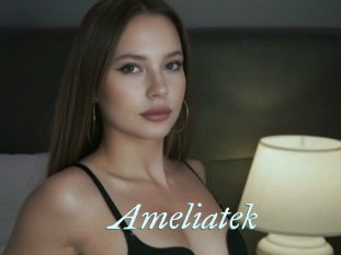 Ameliatek