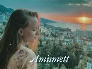 Amismett