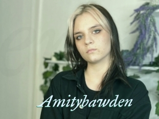 Amitybawden