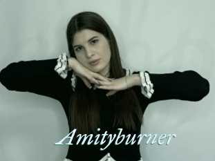 Amityburner