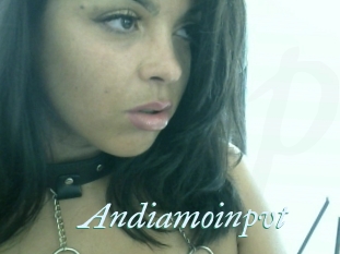 Andiamoinpvt