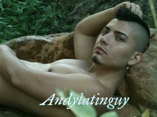 Andylatinguy