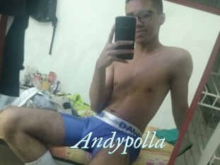 Andypolla