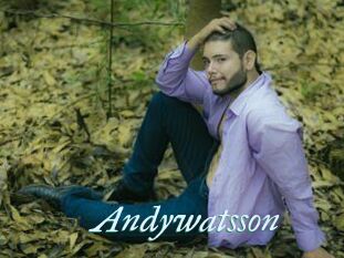 Andywatsson