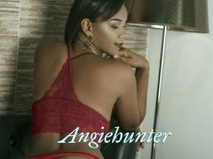 Angiehunter