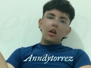 Anndytorrez