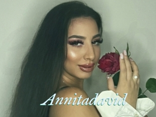 Annitadavid