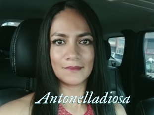 Antonelladiosa