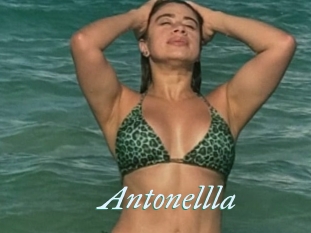 Antonellla