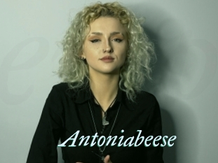 Antoniabeese