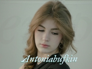 Antoniabufkin