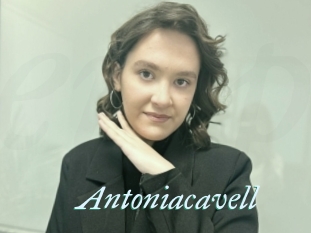 Antoniacavell