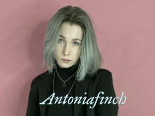 Antoniafinch