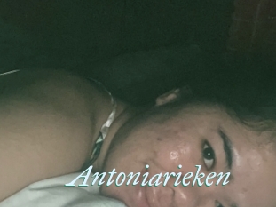 Antoniarieken