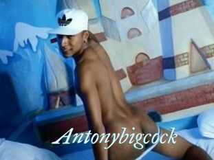 Antonybigcock