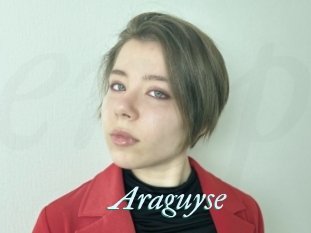 Araguyse