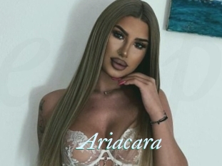 Ariacara