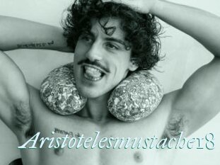 Aristotelesmustache18